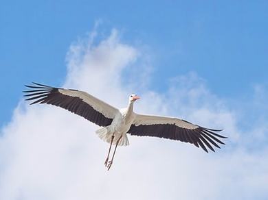 ktv真空场服务流程