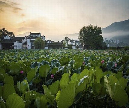 《sans地下偶像》