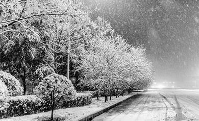 《郎骑竹马来》焰雪炎雪